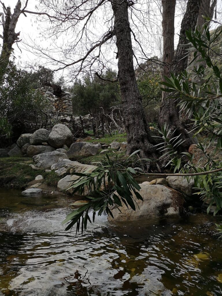 gar2 768x1024